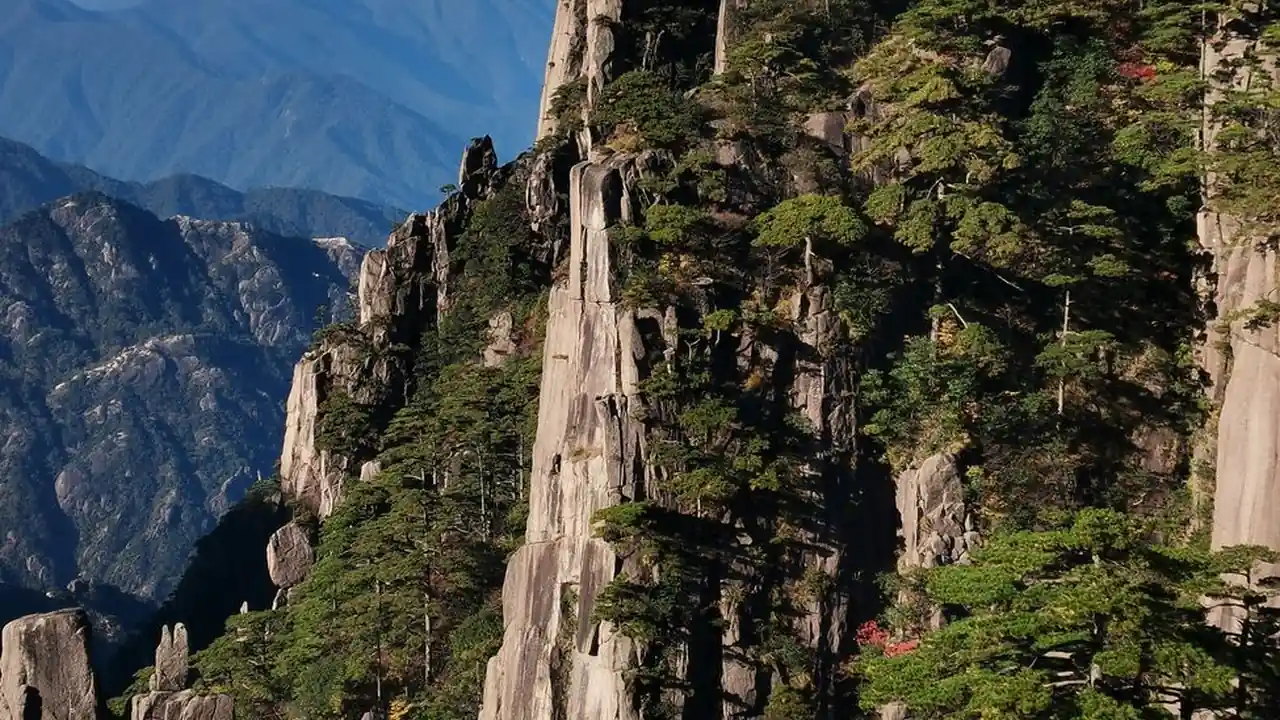 草莓视频污在线看安全观看的指南与建议